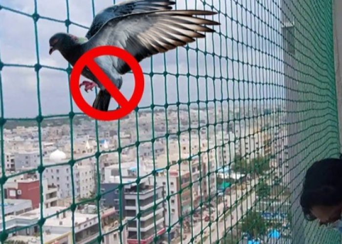 IMG_20250710_205754_600_x_400_pixel